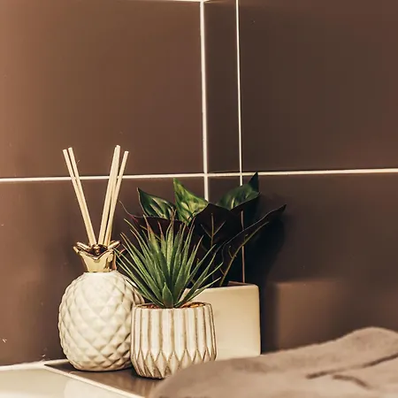 Apartment Cosy Haven Sgdb Sainte-Genevieve-des-Bois